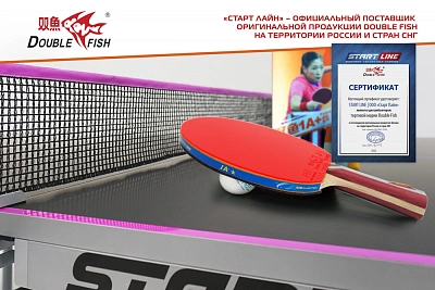 Теннисная ракетка Double Fish 1A+C серия